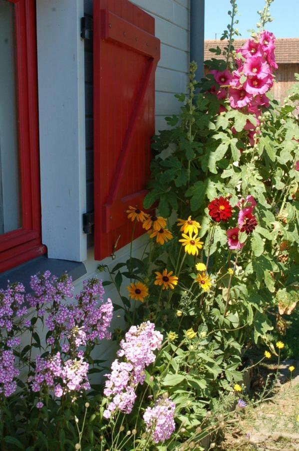 B&B La Maison Des Collines Autour Chambres D'Hotes La Chapelle  Exterior foto